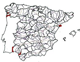 Alosa fallax_mapa.jpg